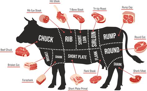 牛肉部位全解析！你知道哪個部位最適合煎牛排嗎？